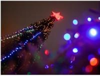 Новый год 2014