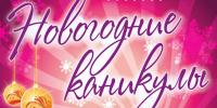 НОВОГОДНИЕ КАНИКУЛЫ В ЛЕНОБЛАСТИ