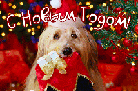 s_novym_godom_1
