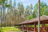 Площадка корпоративная в Лосево